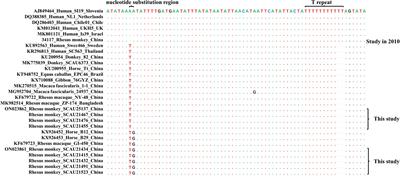 Decline in Cryptosporidium Infection in Free-Ranging Rhesus Monkeys in a Park After Public Health Interventions